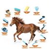 Rouisxue Horse Grooming Kit Premium Tools Complete Set-1