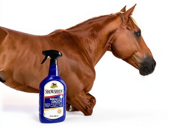 Absorbine ShowSheen Waterless Horse Coat Cleaner Shine-1